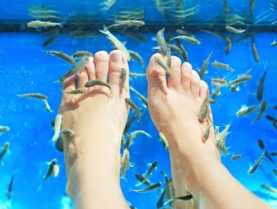 Photos of Fish spa