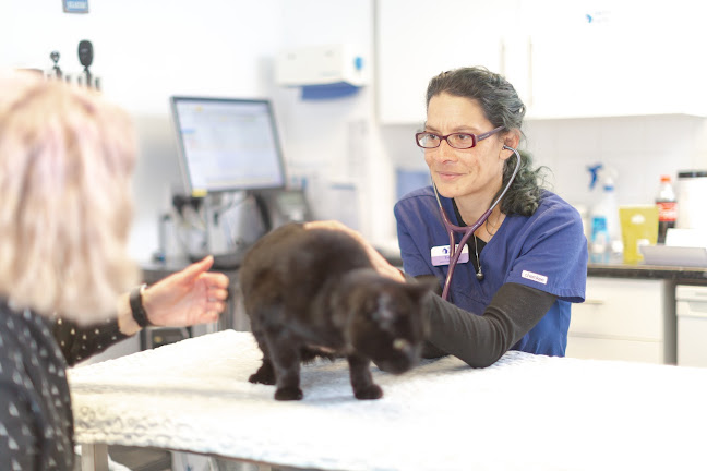 Comments and reviews of Grove Lodge Vets