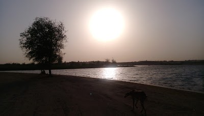 Photos of Al Qudra Lakes East