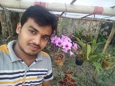 Photos of Muslim Quarters Children Park