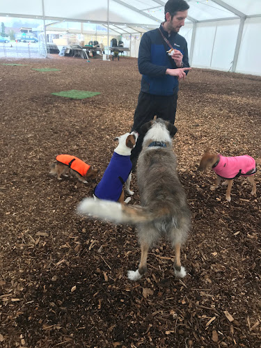 The Family Dog Club Open Times