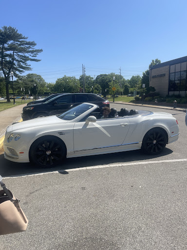 Cloud 9 Exotics - Visual