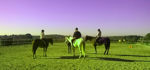 Equestrian Center Pleine Nature - Thumbnail