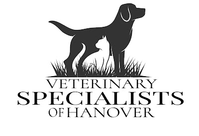Veterinary Specialists Of Hanover