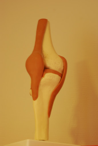 Podotherapie en Podologie Metselaar Gallery - Netherlands