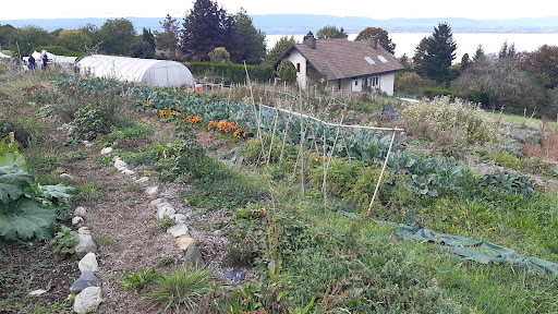 Les Jardins de Solune - Bio et Permaculture - Thumbnail