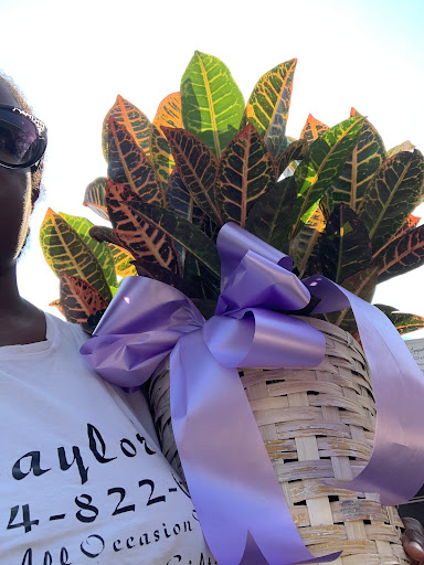 Taylor’s Florist & Gifts - Thumbnail