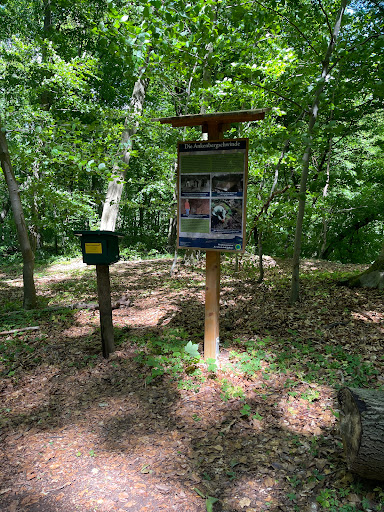 Ankenbergschwinde - Visual