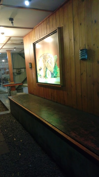Photos of Splash Take Away
