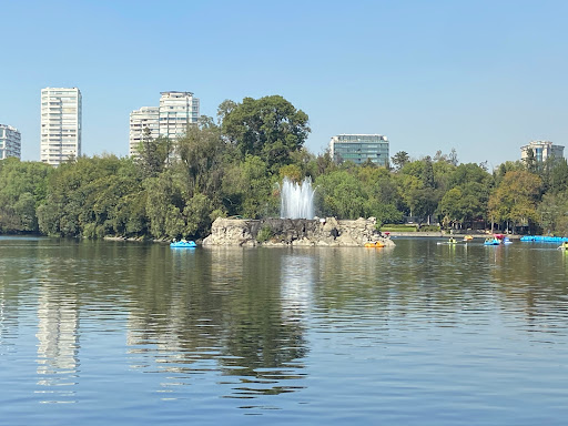 Chapultepec Lake - Visual