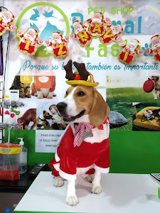 Animal Fashion Pet Shop - Veterinaria - Spá canino 3