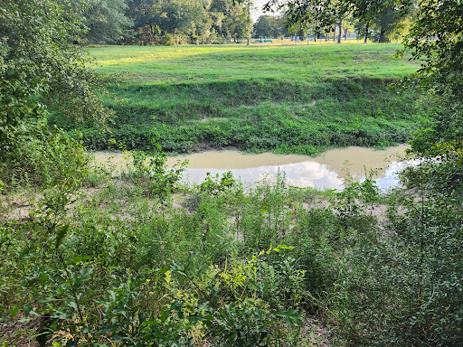 Little Cypress Creek Preserve - Thumbnail