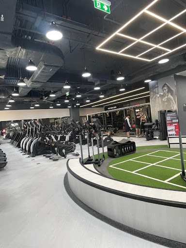 Professional Gym & Commercial Interior Design in Delhi post image