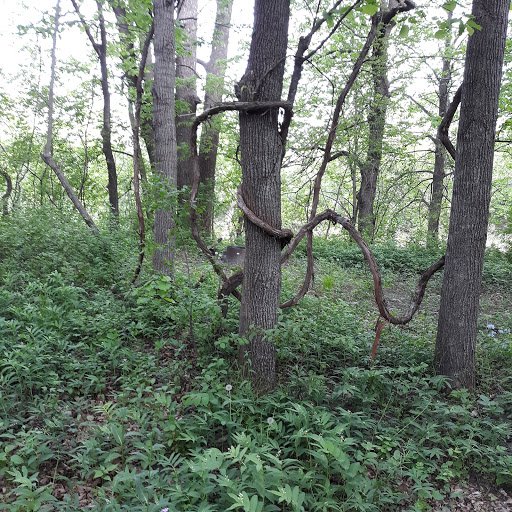 Lac qui Parle County Park - Thumbnail