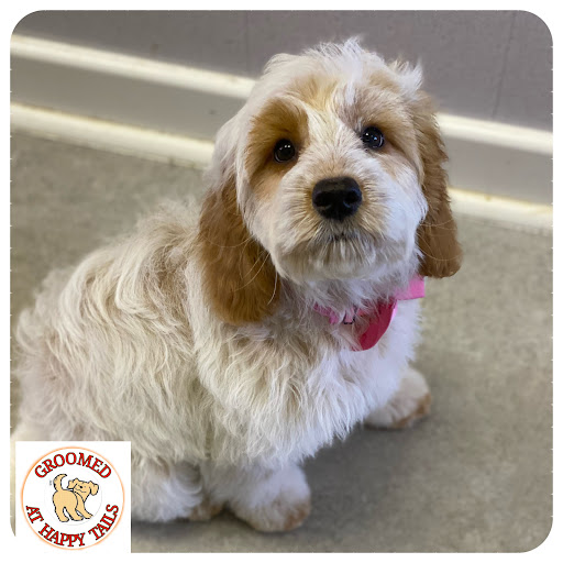 Happy Tails Dog Groomers