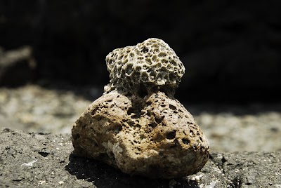 Photos of Tanjung Siantu