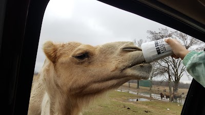 Wild Country Safari Park