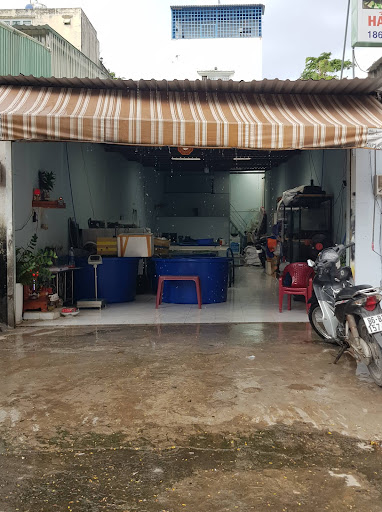 Cửa