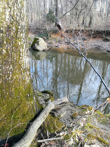 Eakin Park - Visual