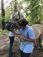 Samantha Taboulet, Technicien Dentaire Equin à Beauregard