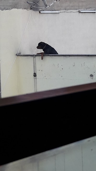 Photos of Osmanlı Kahvecisi G&ouml;lc&uuml;k
