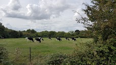 New College Recreation Ground oxford