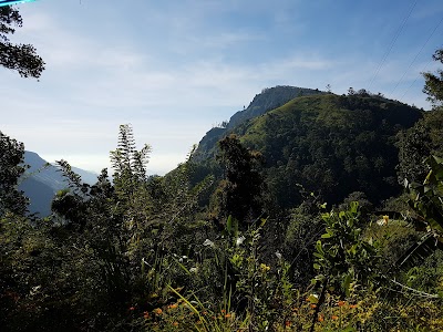 Photos of Blue Ribbon Homestay