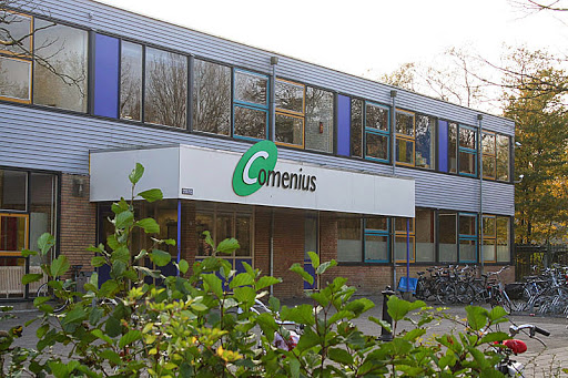 CSG Comenius Esdoorn