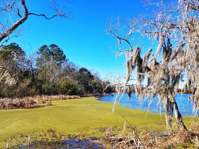 Magnolia Plantation and Gardens