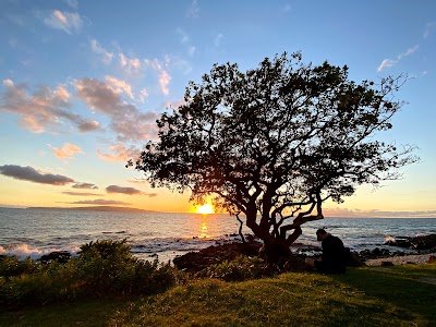 Wailea Beach Path