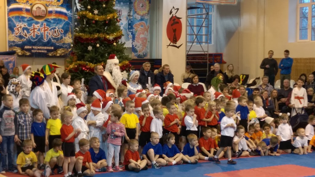 Детско юношеская спортивная школа единоборств