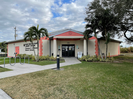 Clarence E Anthony Library - Visual