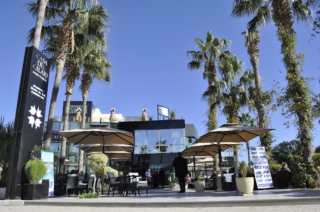 Café Casa Del Gelato