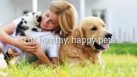 Nulife Natural Pet Health