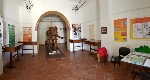 Centro Museografico Polivalente