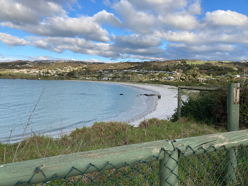 Lloyd Collins Reserve - Thumbnail