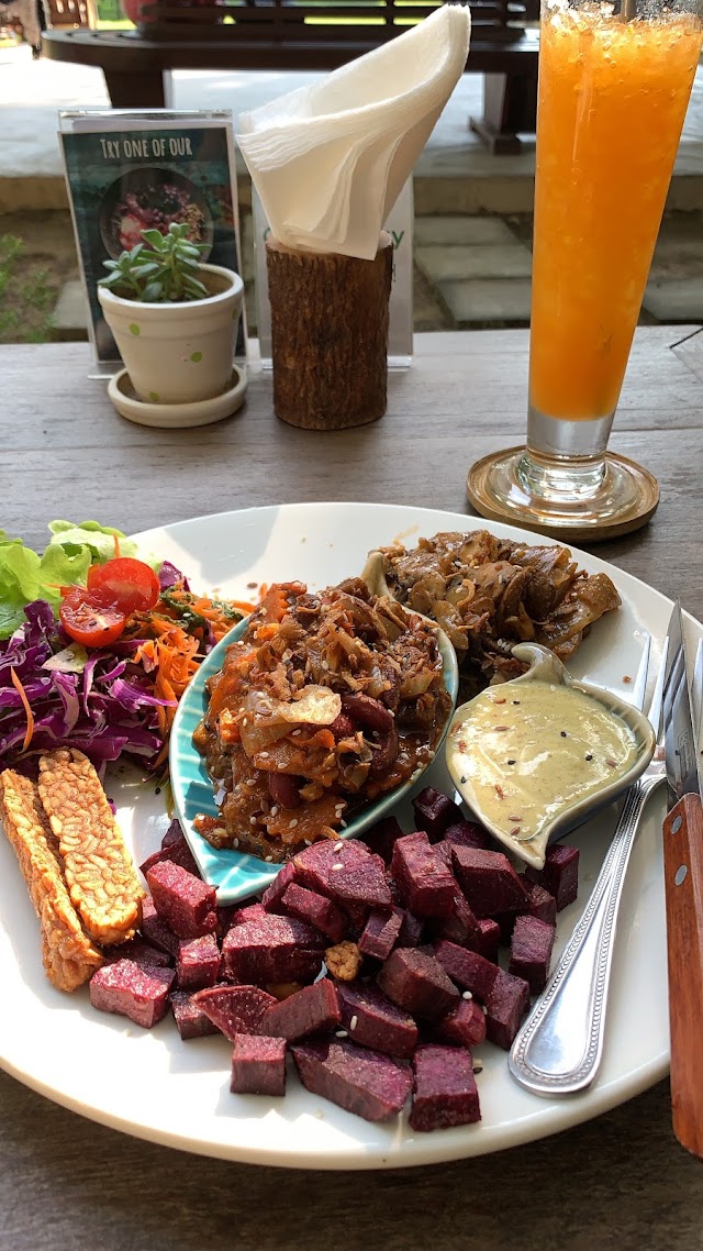 Pure Vegan Heaven Chiangmai