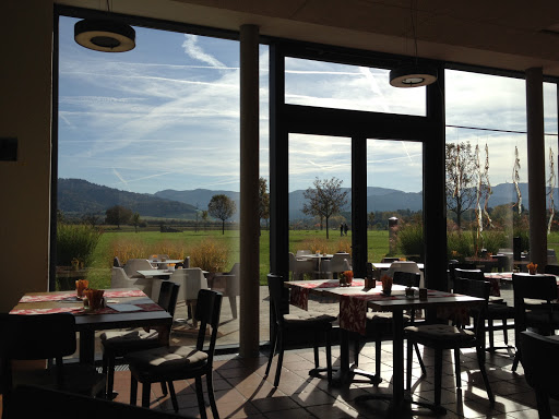 Villa artis, Franz-Köberle-Kunst- und Kulturzentrum und Café artis