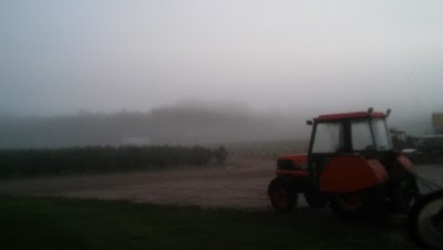 Photos of Wolf Lake Farms, LLC