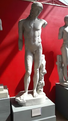 Museum of Classical Archaeology cambridge