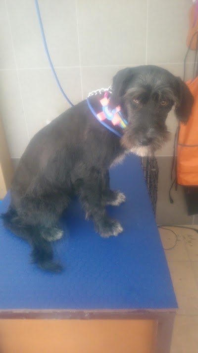 Photos of Solidarity Veterinary Clinic