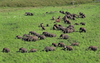 Photos of Garamba National Park