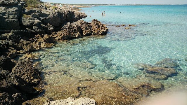 Spiaggia di Punta della Suina