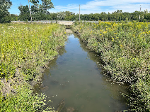 Pederson Nature Preserve