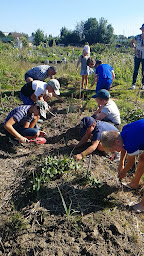 Photo n°2 de Maison Erine, Potager & Rucher école enfants et adolescents à Willems (Association bénévole)