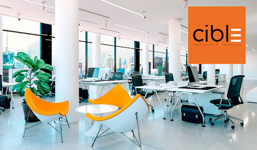 CIBLE immobilier des Entreprises
