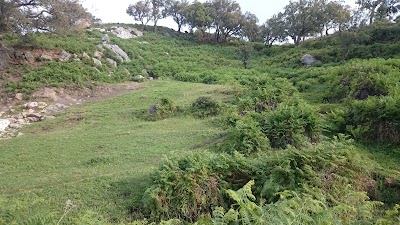 Photos of for&ecirc;t Hjar Nhal