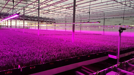 Vocare Ledlight LED verlichting - Thumbnail