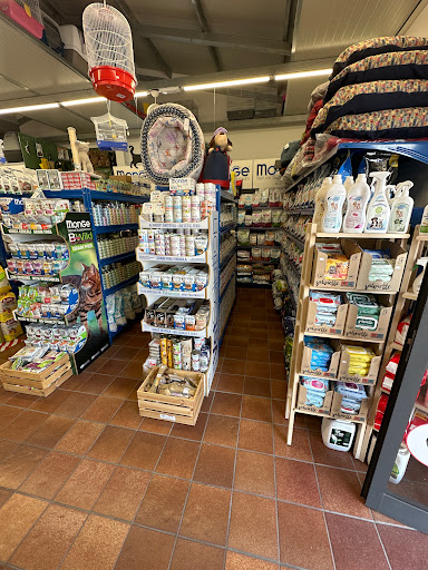 Pet Shop Sottile - Thumbnail