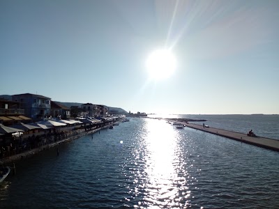 Photos of Mati-mati